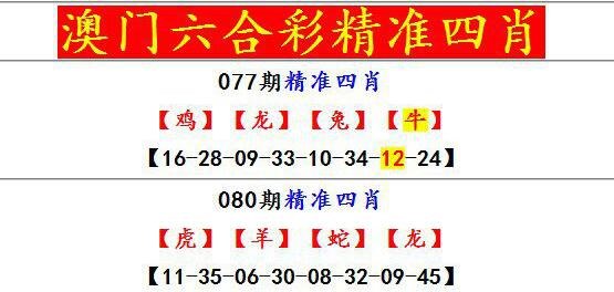 澳门六合之家资料查询,最新热门解析实施_精英版121,127.13