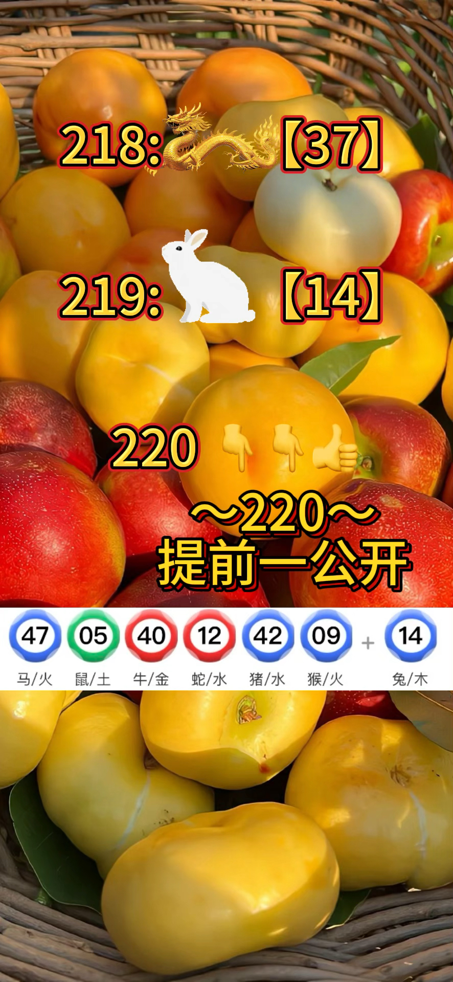 新澳门资料大全正版资料2023年,数据解释落实_整合版121,127.13