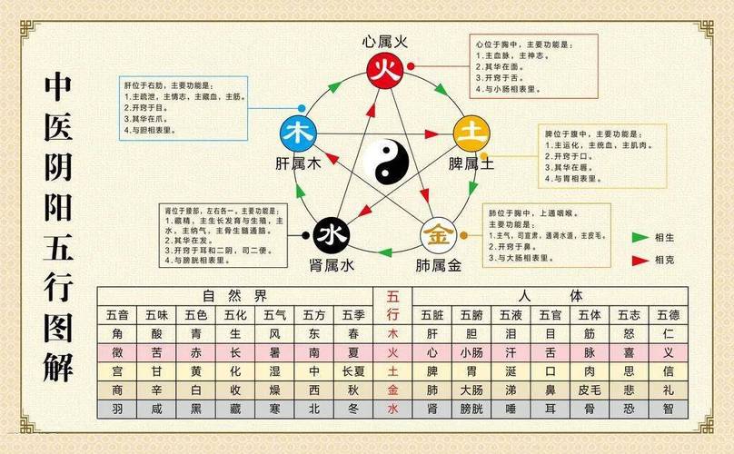 五行相生相克的精准排肖,豪华精英版79.26.45-江GO121,127.13