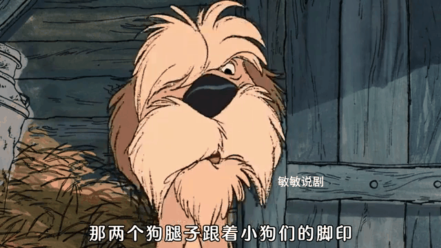 101条斑点狗,资深解答解释落实_特别款72.21127.13.