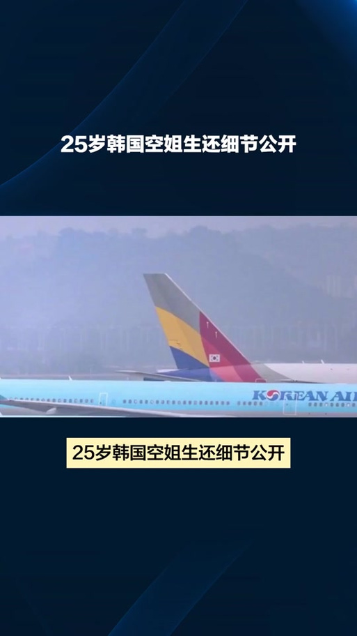 新澳天天彩免费大全和韩国坠机致4人遇难与韩国坠机事件