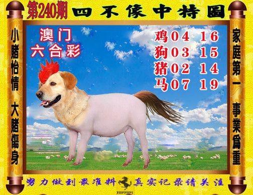 白小姐精选三肖四码澳门和300斤巨石砸中汽车与巨石砸死