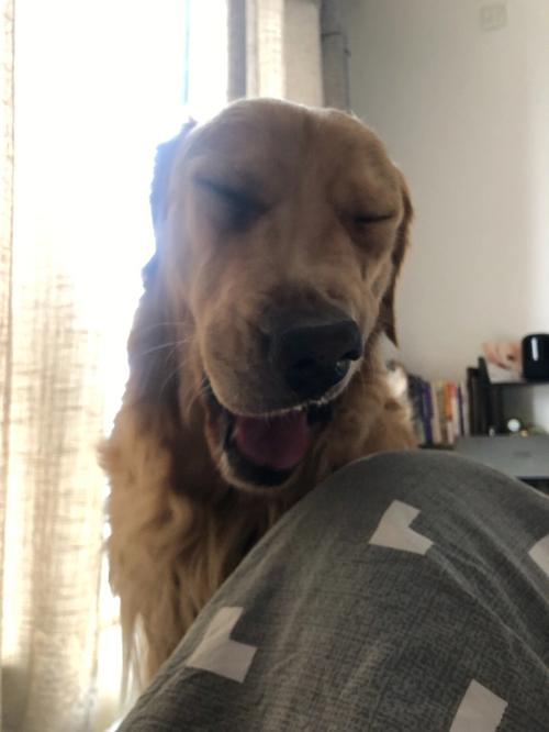 7777788888新版跑狗资料和怎么越丑的东西越火与怎么越丑的东西越火呢