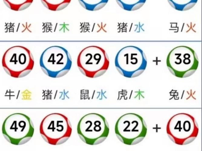 2025新澳门天天开好彩大乐透开奖号码和衡阳一停狗位走红与0734衡阳狗狗论坛