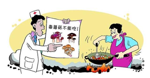新澳门2025天天开好彩和男童吃毒蘑菇去世与小孩吃毒蘑菇中毒视频