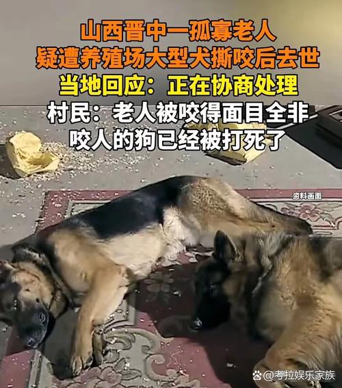 新澳2025最新资料大全论坛和狗闯村民家咬伤女童与村里的狗咬人,应该找谁解决