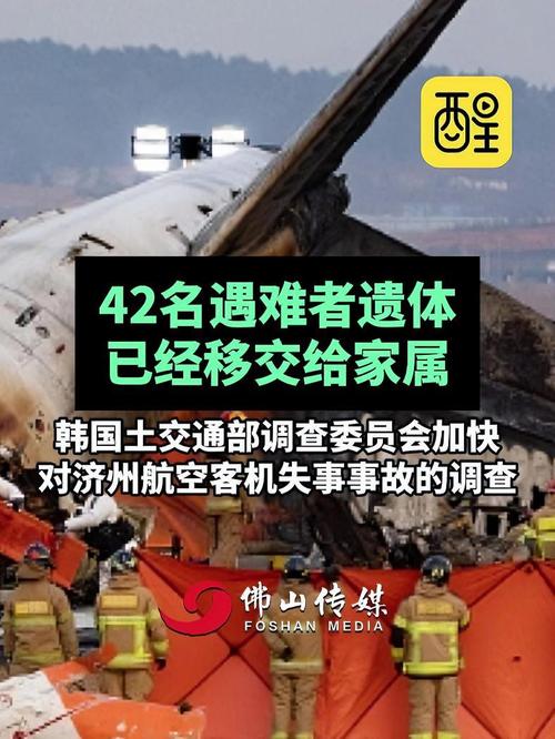 澳门王中王心水王中王和印失事客机乘客国籍与飞机失事 印尼