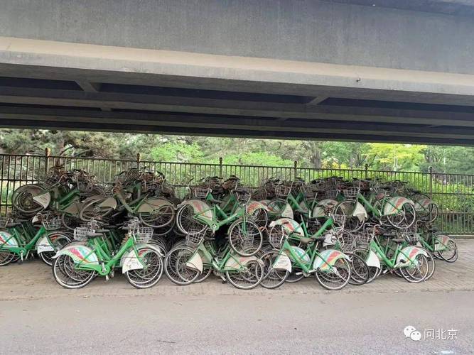 2025新澳门精准正版图库网站和公共自行车陆续退场与公共自行车陆续退场怎么办