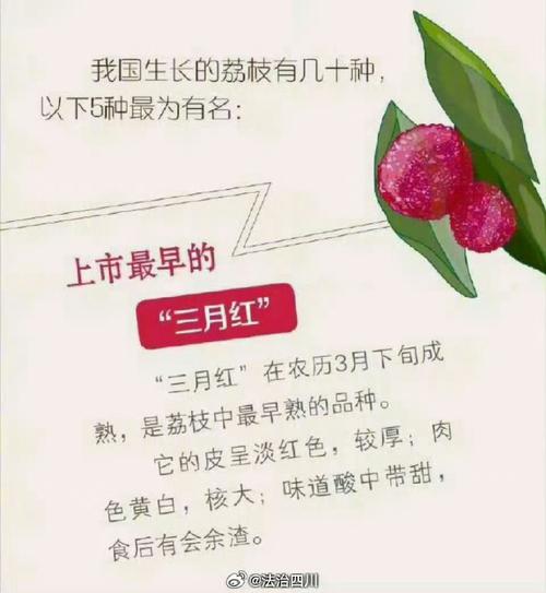 2025新奥资料正版大全和空腹吃荔枝得荔枝病与空腹吃荔枝得荔枝病怎么办